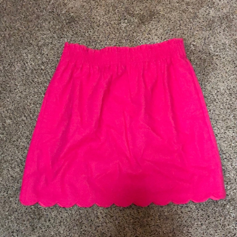 J Crew Skirt